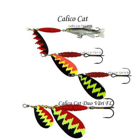 Calico Cat